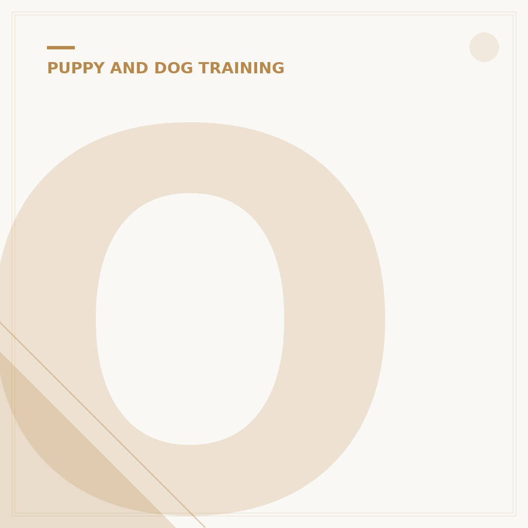 Obedience Classes for Dogs