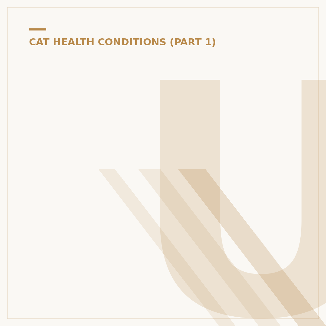 Understanding Obese Feline Health Concerns and Management