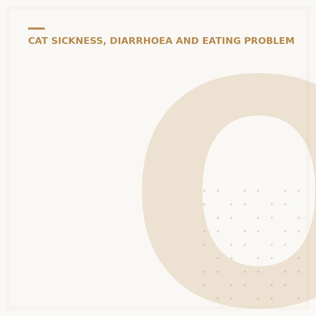 Obstructed Bowel in Cats: Signs and What to Do