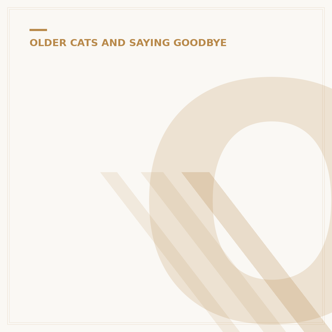Old Cat Food