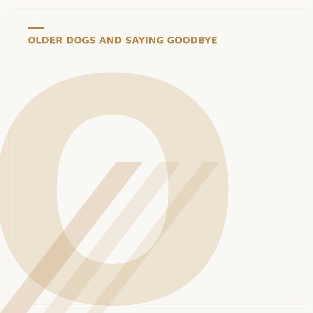 Old Dog Behaviour Before Death: What To Expect
