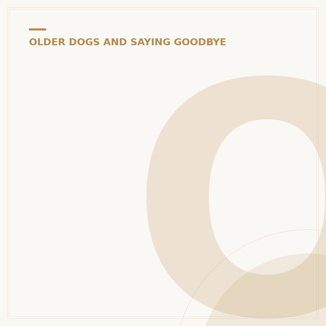 Old Dog Coughing: Causes, Signs & What to Do