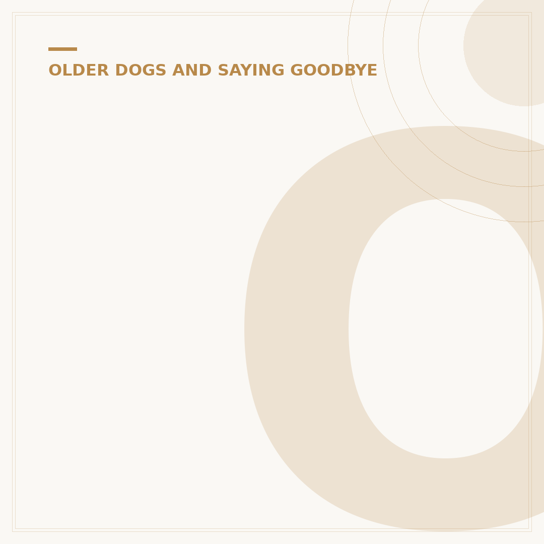 Old Dog Not Eating: Causes, Signs & What To Do