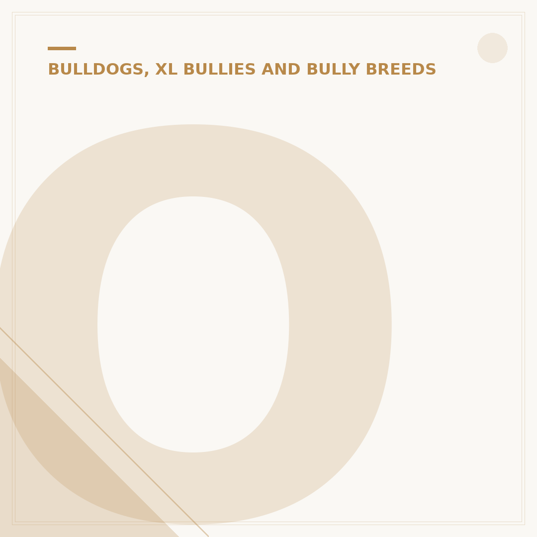 Old English Bulldog vs British Bulldog: Key Differences