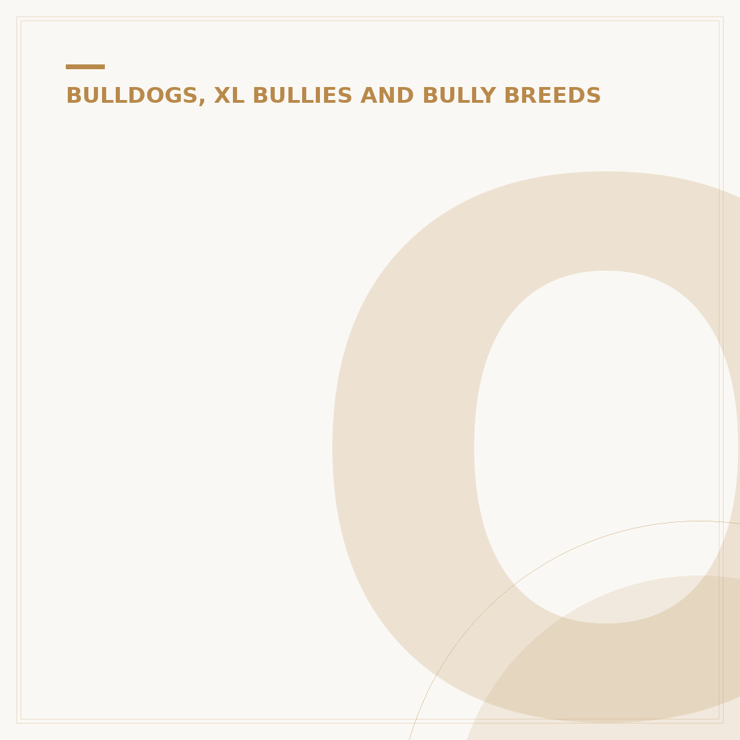 Old English Bulldog vs Bulldog: Key Differences Explained