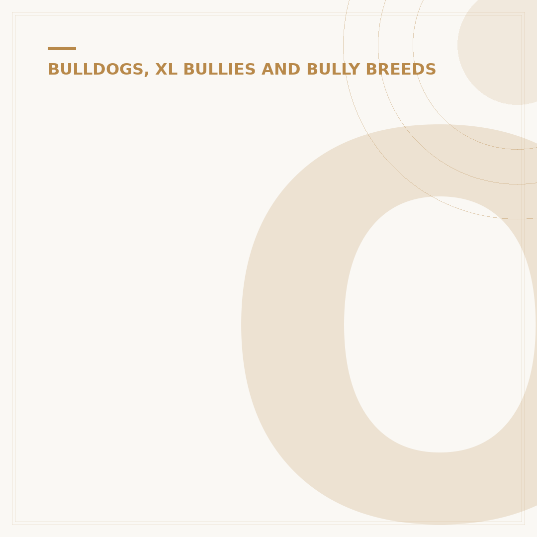Old Tyme Bulldog vs. English Bulldog