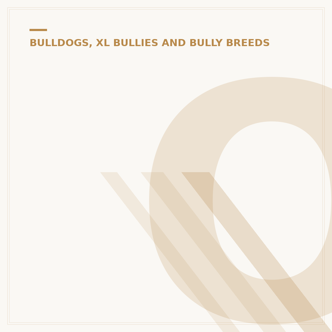 Olde English Bulldog vs English Bulldog Differences
