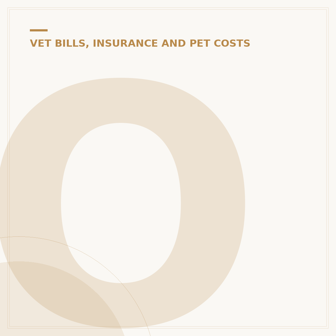 Older Cat Insurance: What You Need To Know