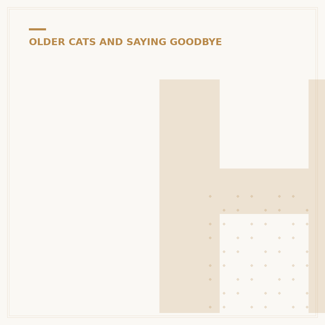How Old is the Oldest House Cat Recorded?