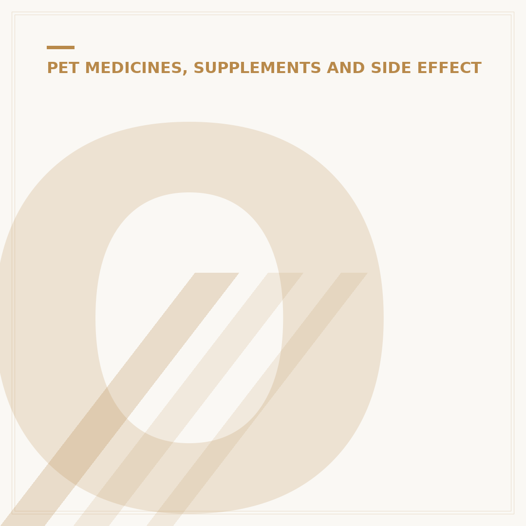 Omega 3 Fatty Acids for Dogs: Health Benefits Explained
