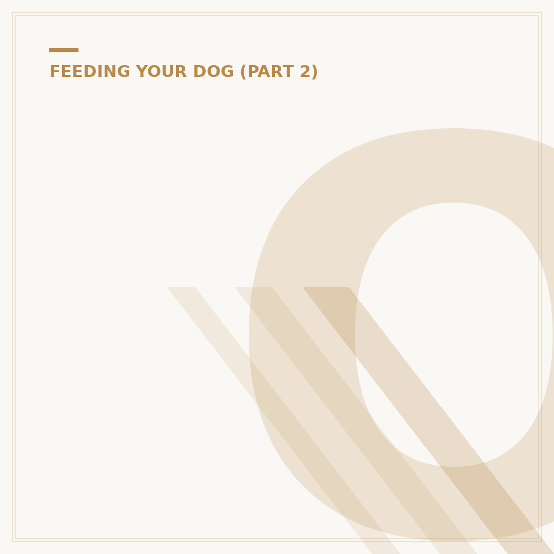 Onion Toxicity in Dogs: Causes, Signs & Prevention
