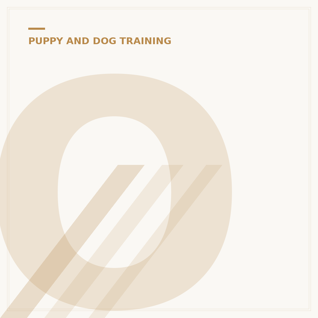 Online Dog Training
