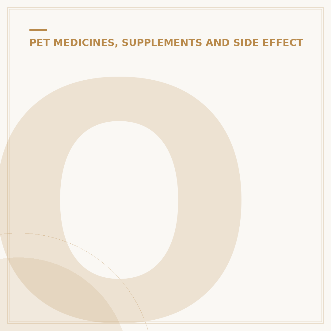 Onsior Side Effects in Dogs: What Owners Need to Know
