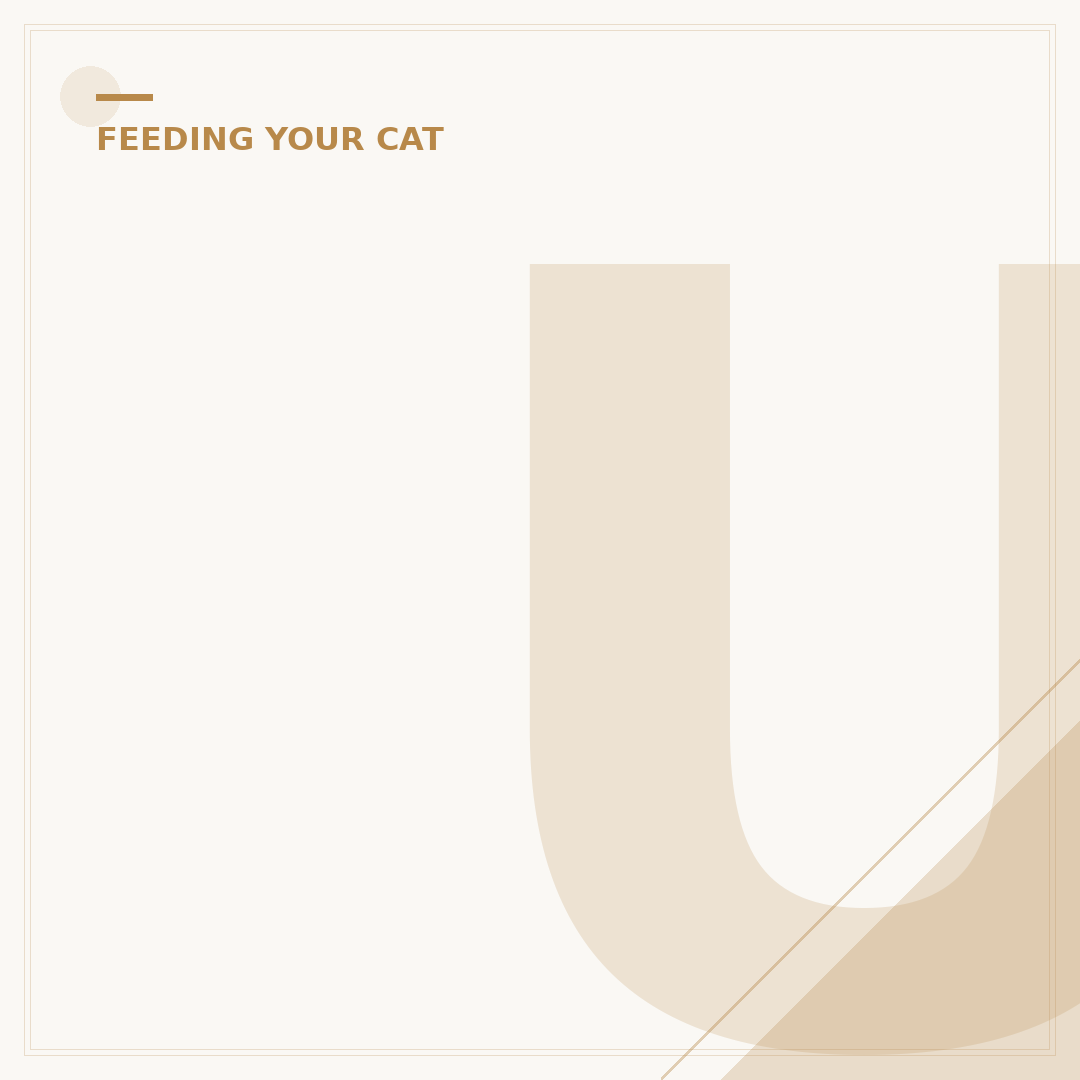 Understanding Orange Cat Behaviour: Traits and Personality