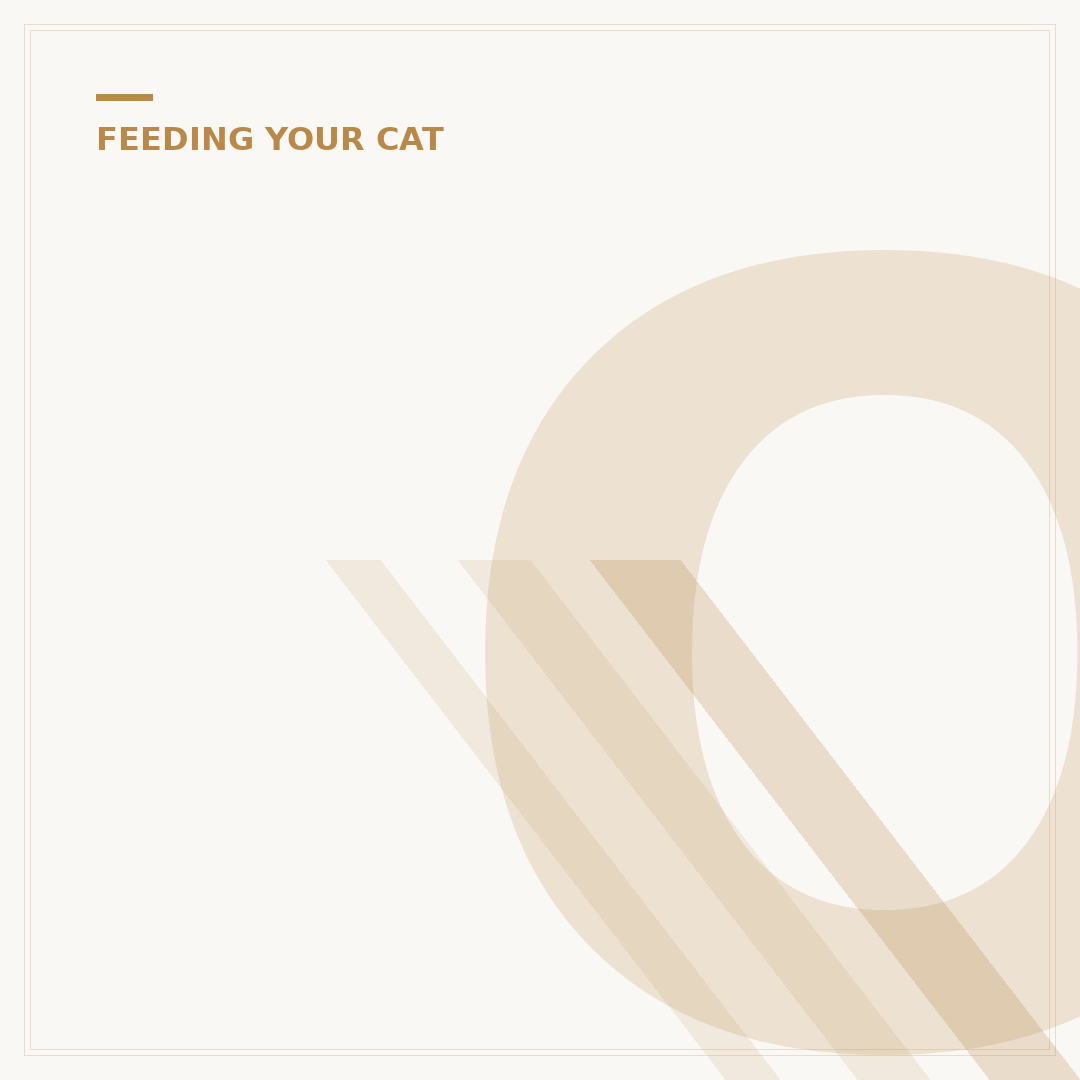 Orange Cat vs Orange Tabby: What's the Difference?