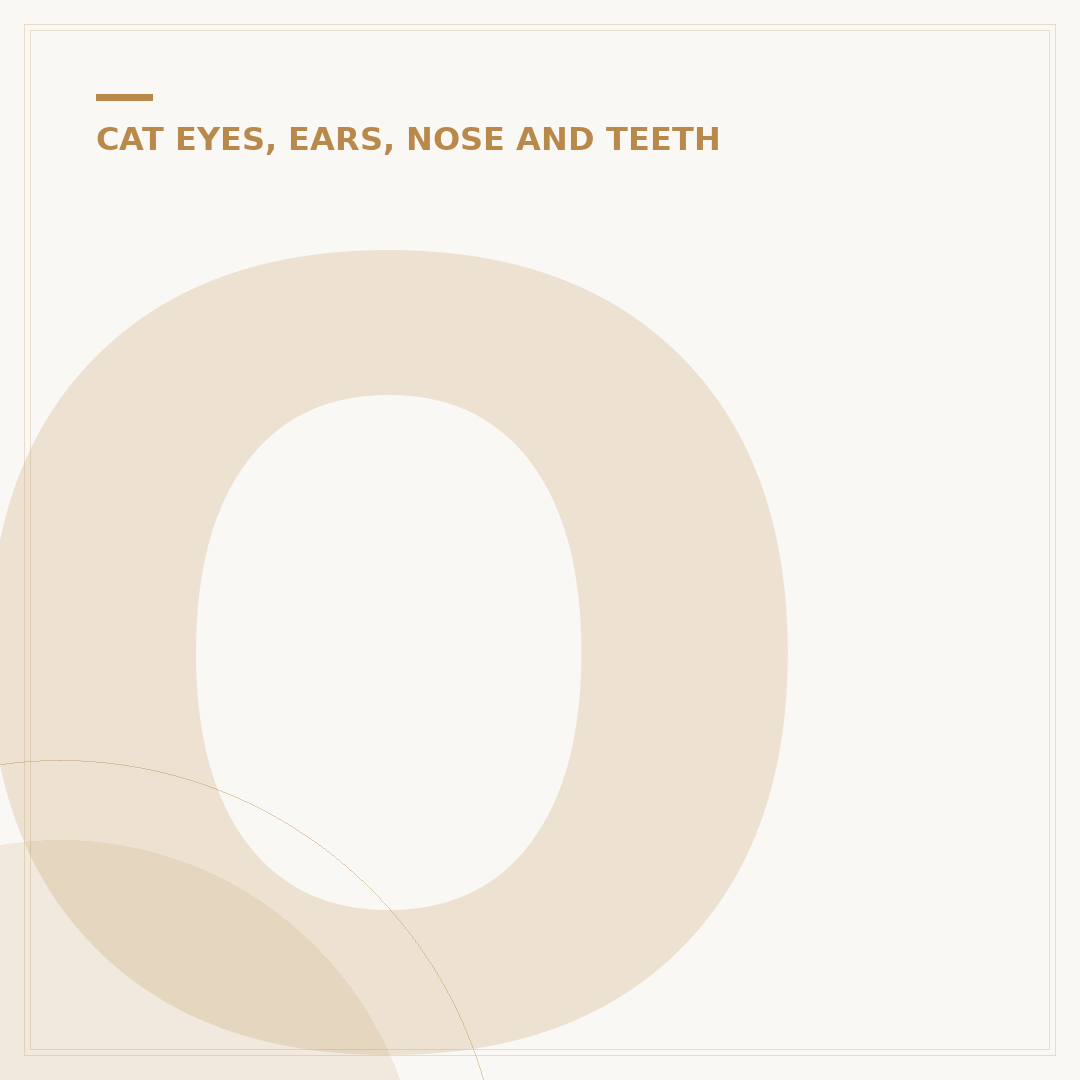 Orange Eyes in Cats: What They Mean