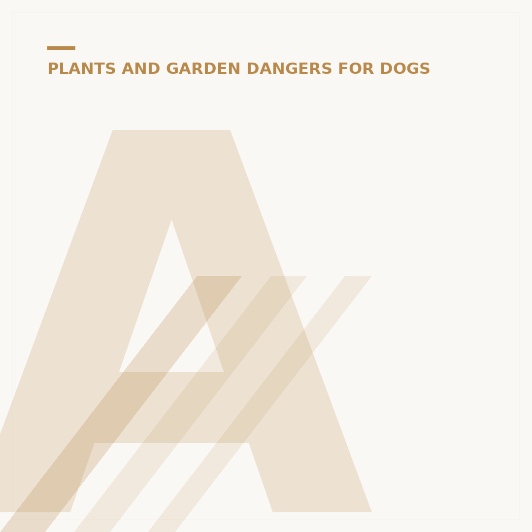 Are Orchid Plants Poisonous to Dogs?