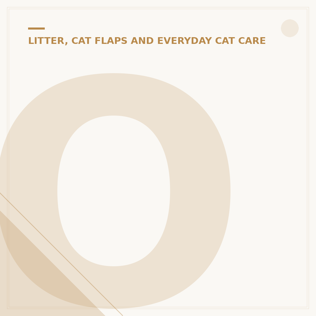 Outdoor Cat Houses: Shelter For Feline Companions