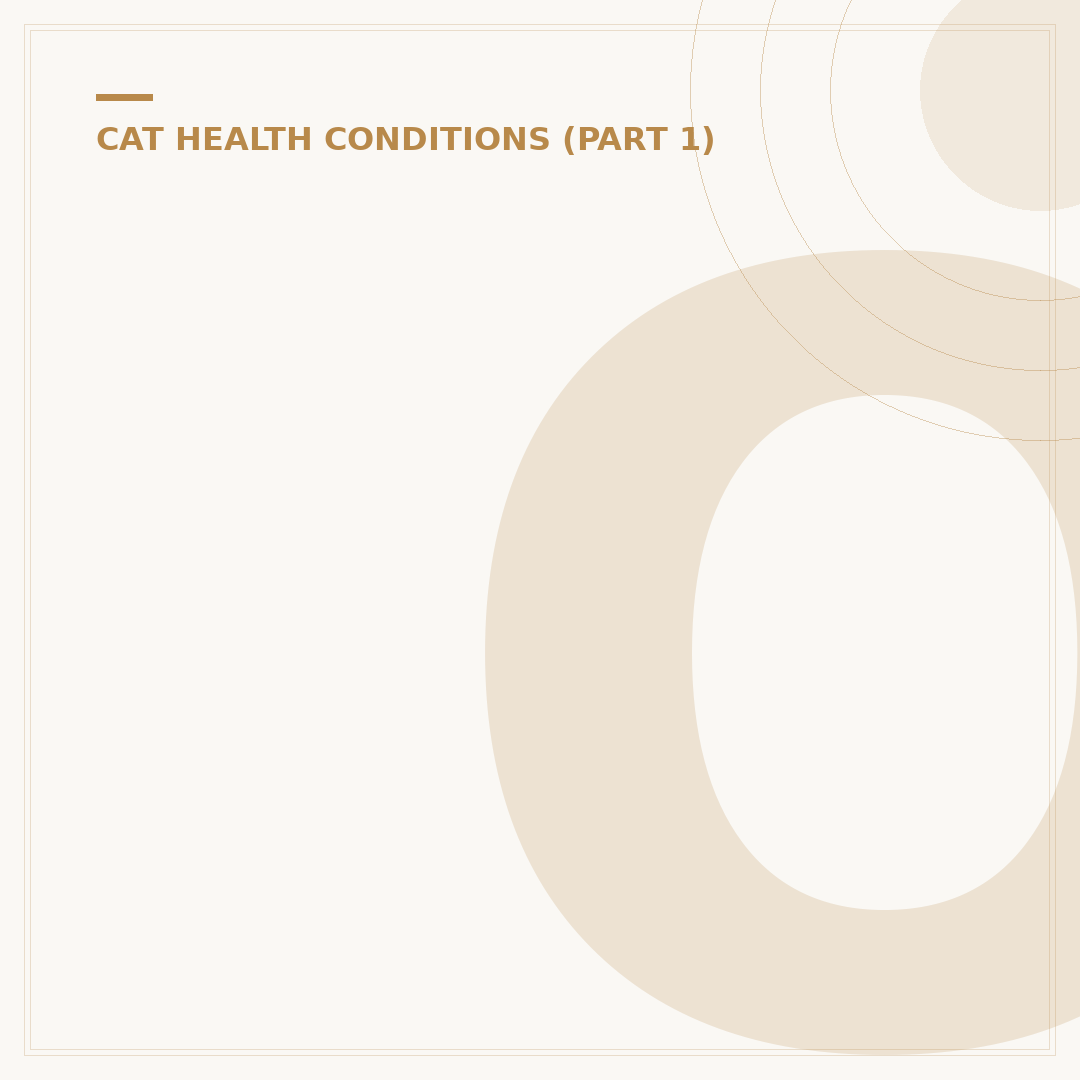 Overactive Thyroid in Cats: Signs & Management