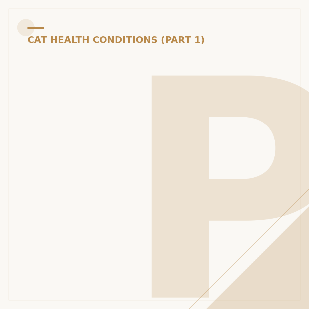 Pain Management for Cats