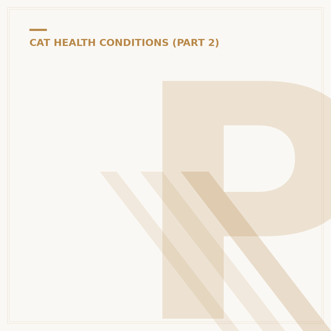 Pain Remedies for Cats