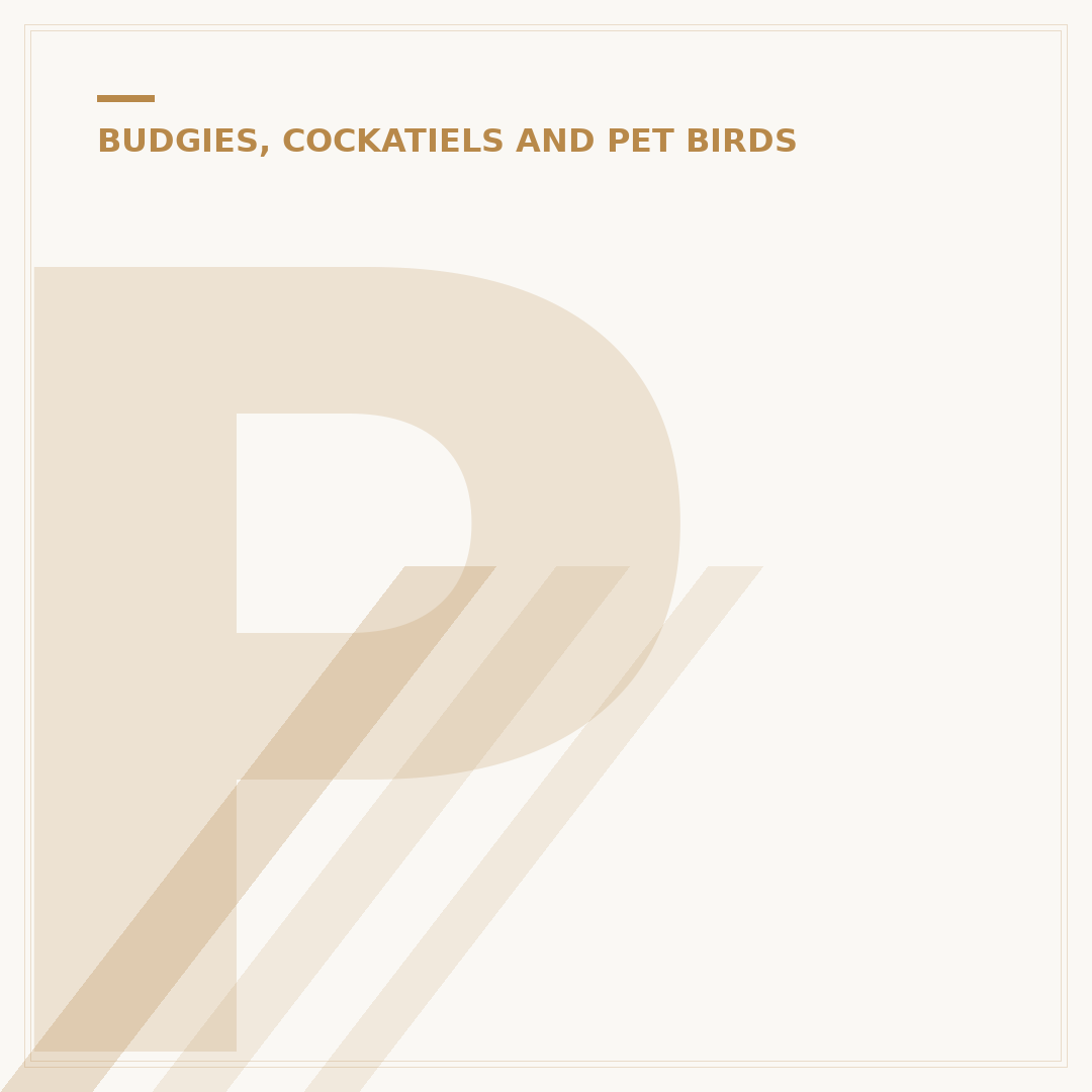 Parakeet vs Budgie: What's the Real Difference?