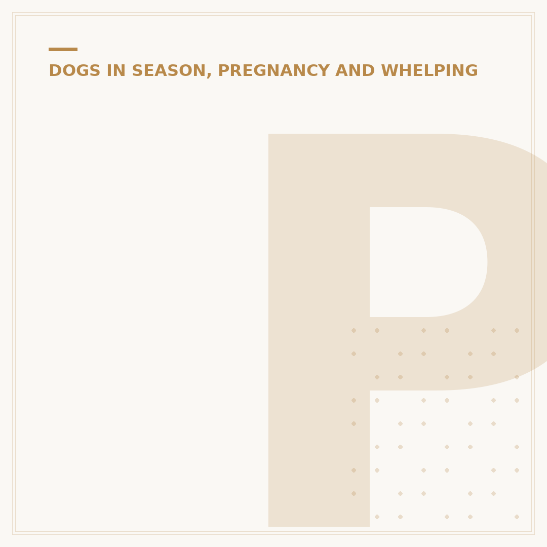 Parvo in Pregnant Women