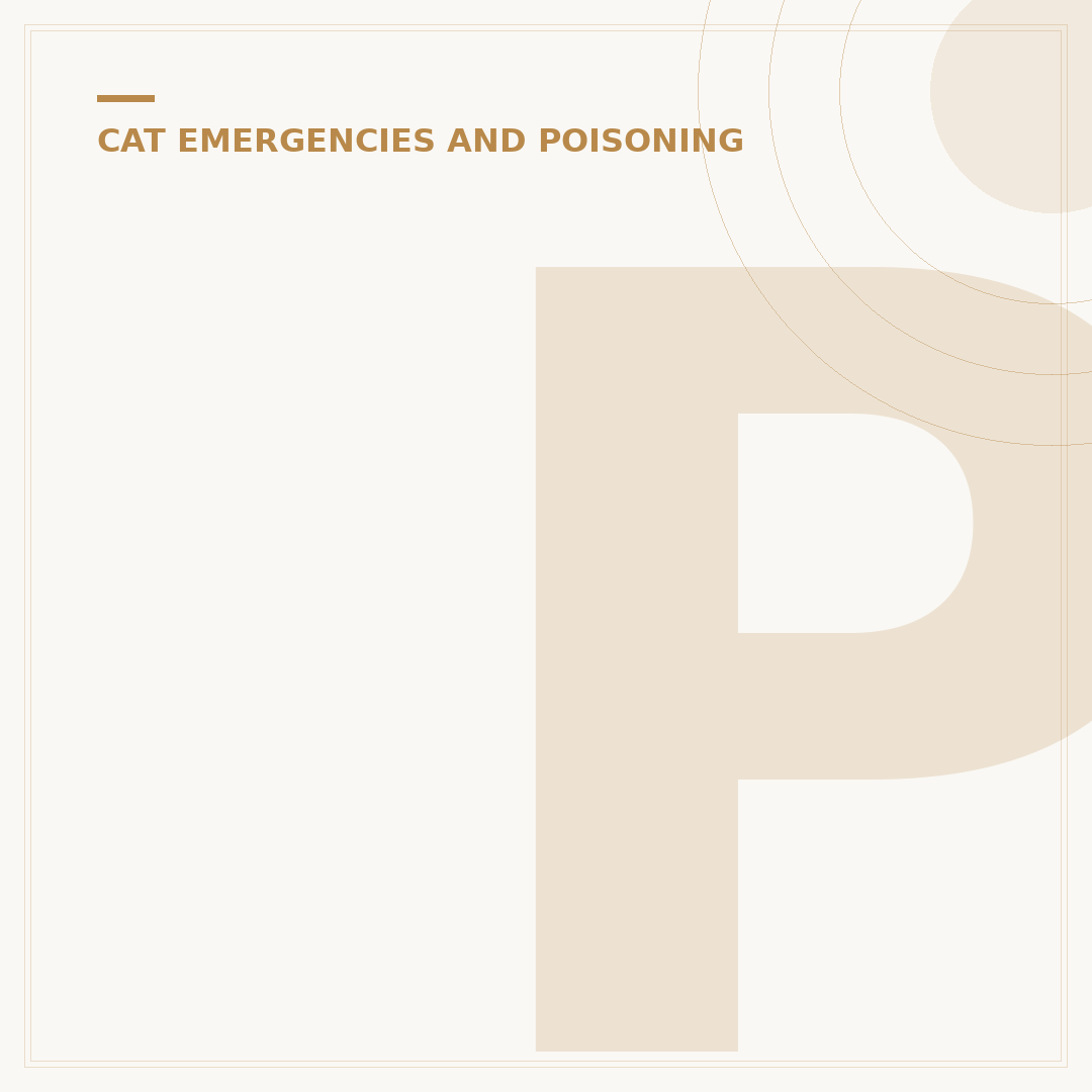 Peace Lily Poisoning in Cats: Signs & What To Do