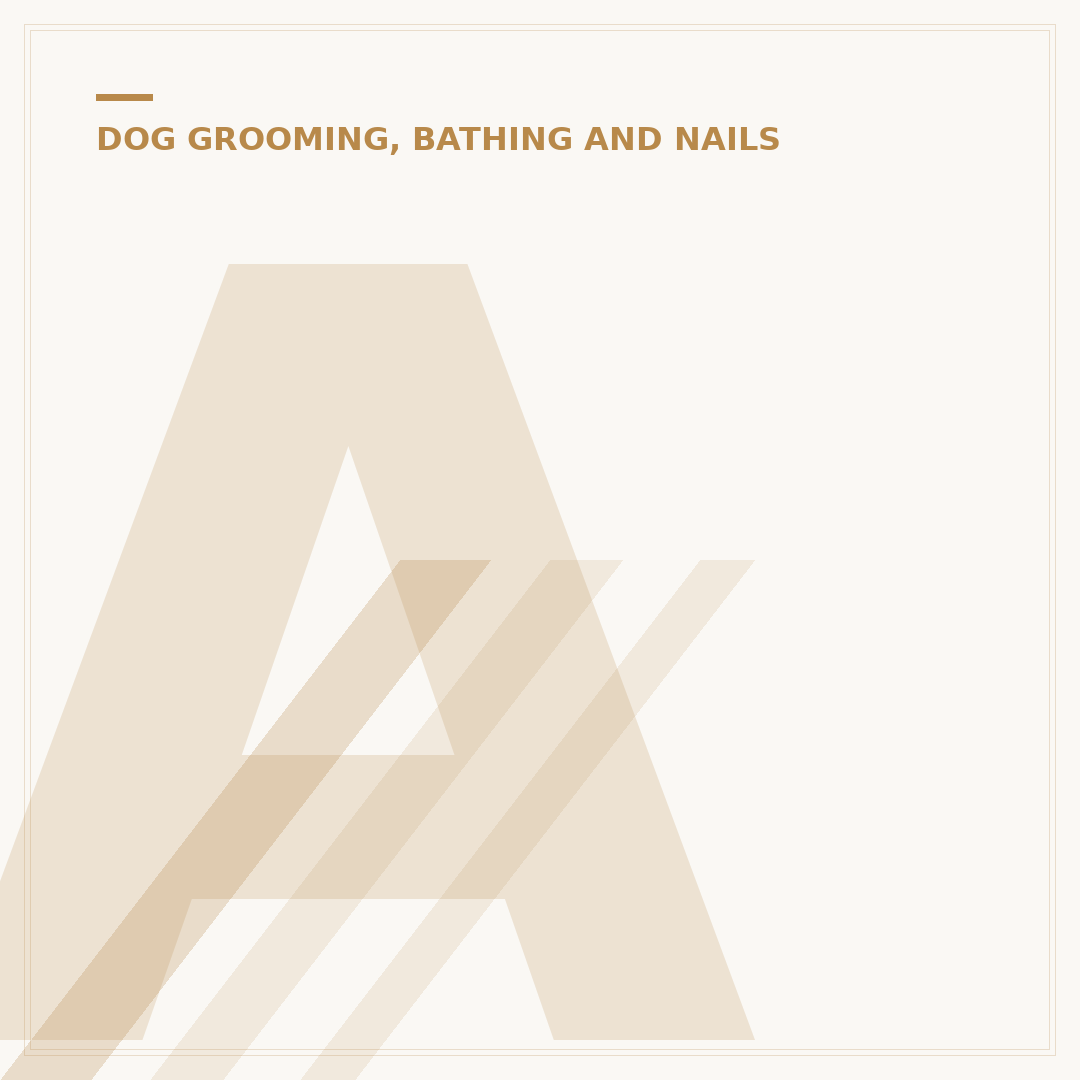 Achieving Perfect Pooches Dog Grooming Standards