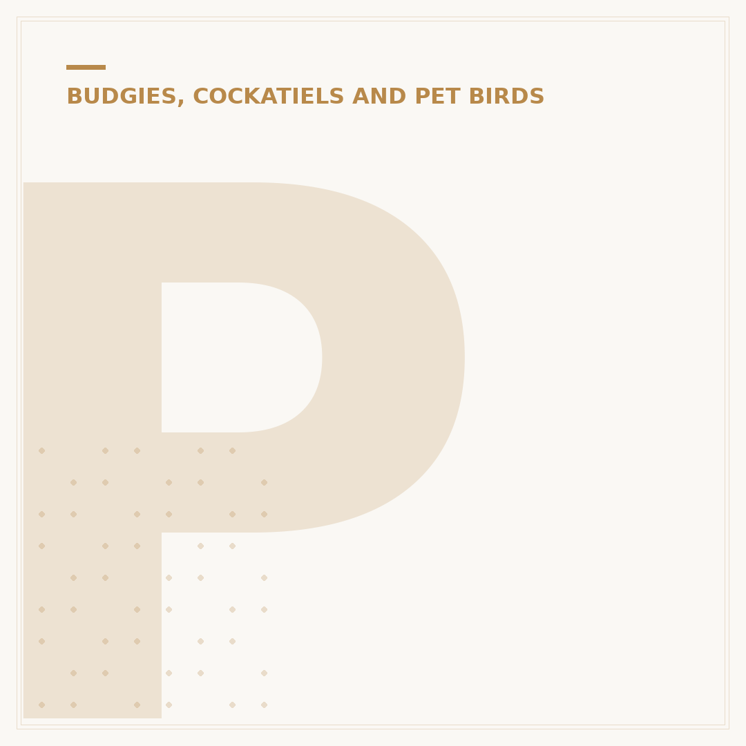 Pet Budgies