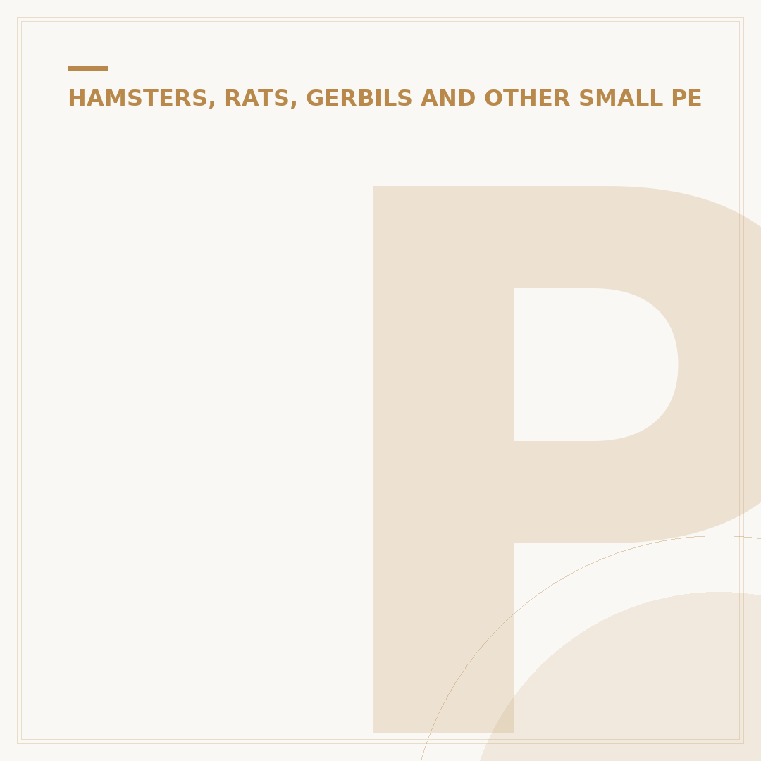Pet Gerbil
