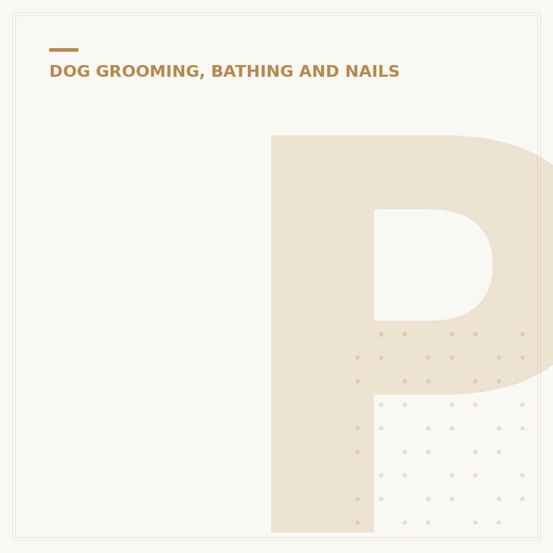 Pet Grooming Kit Dog: What to Look For
