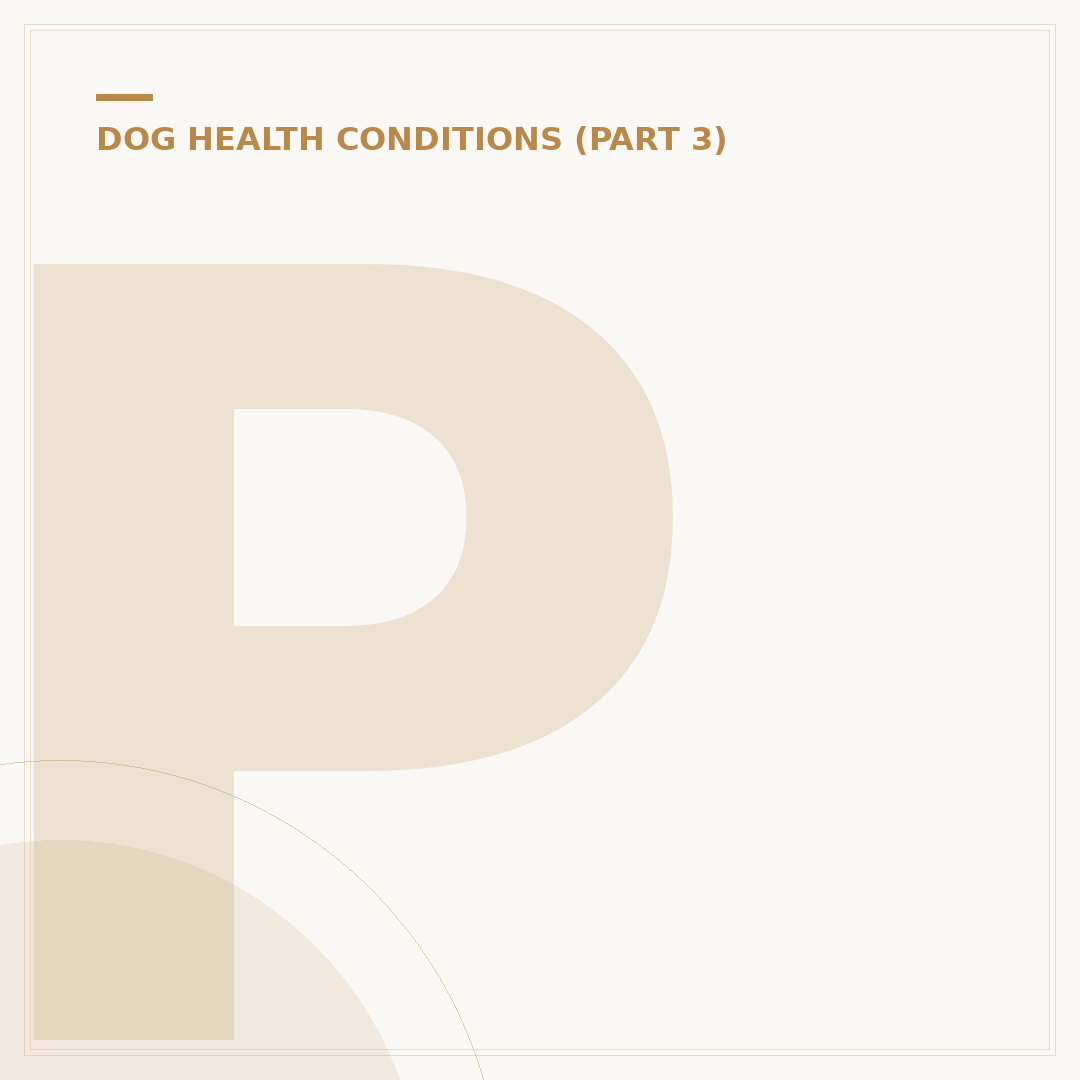 Pica Disorder in Dogs: Causes, Symptoms and Treatment