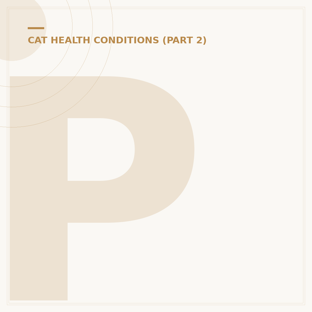 PKD Disease in Cats: Symptoms, Causes & Diagnosis