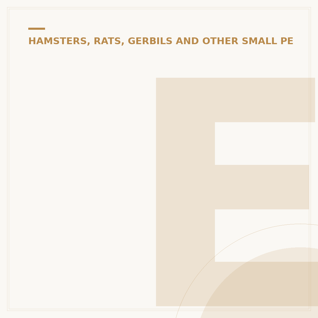 European Polecat vs Ferret: Key Differences Explained