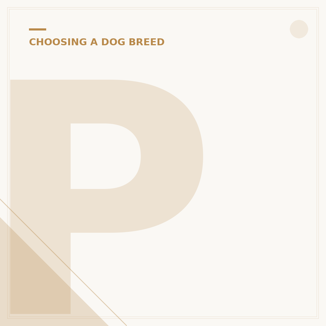 Police Dog Breeds: What Types of Dogs Serve?