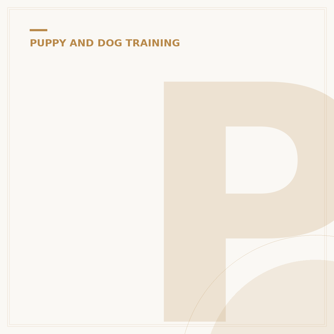 Police Dog Training: How Do They Learn?