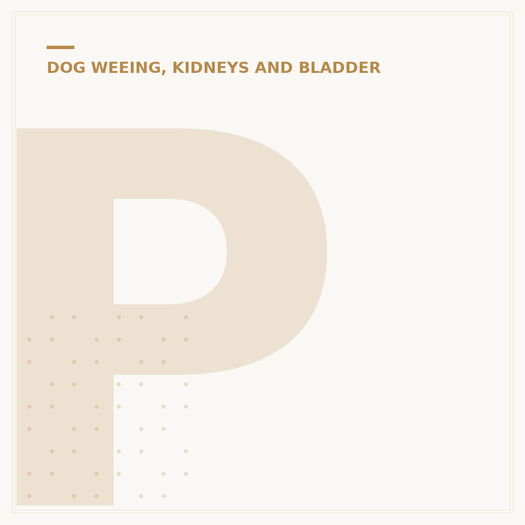 Pooch and Mutt Renal Dog Food for Kidney Support