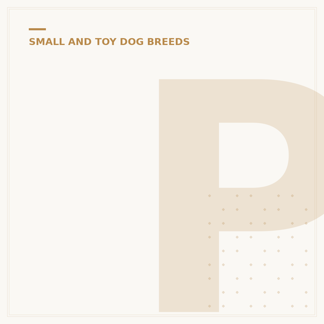 Poodle and Cavalier King Charles Spaniel: What to Know