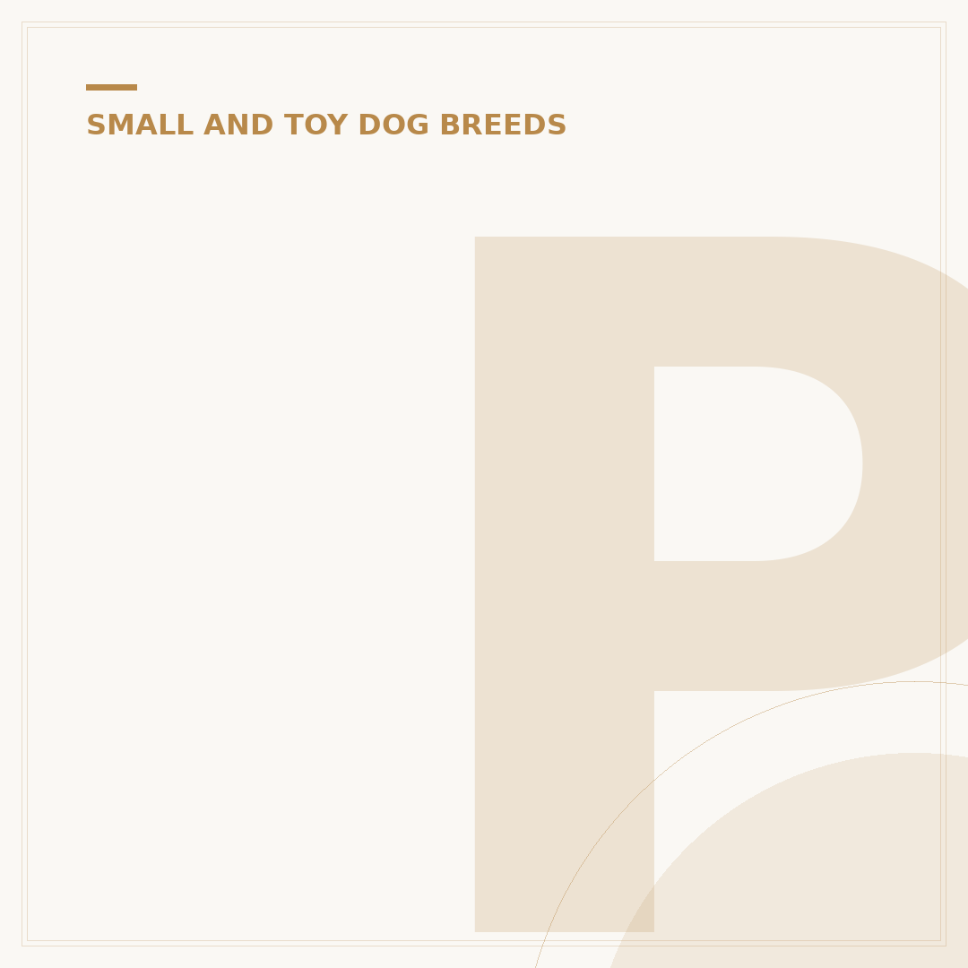 Poodle Dog Rescue UK: Find Your Companion