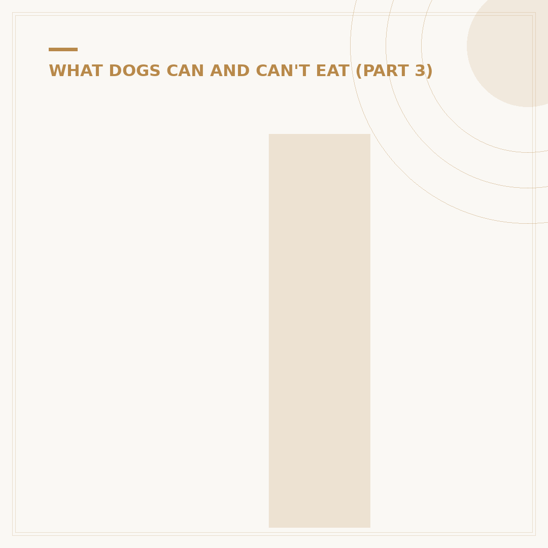 Is Popcorn Bad for Puppies? What to Know