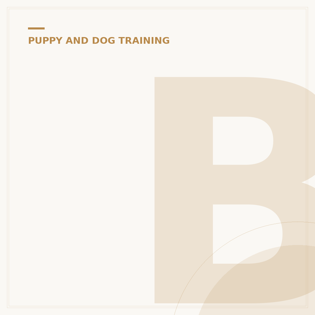 Best Way to Potty Train a Puppy