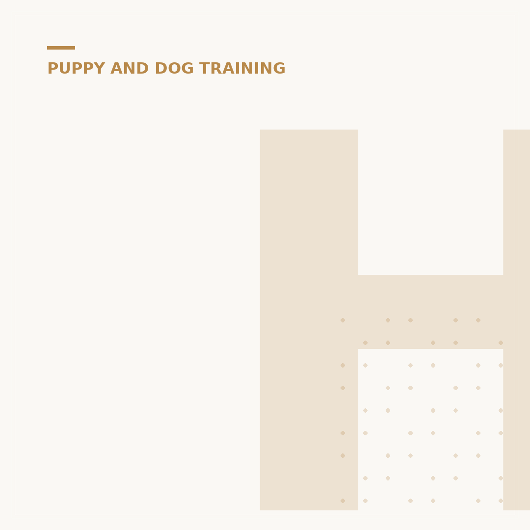 How Do I Potty Train a Puppy?