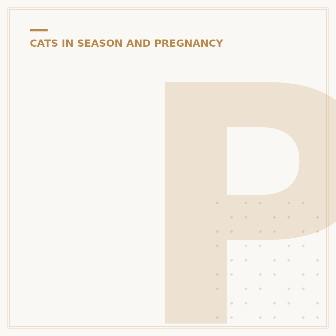 Pregnant Cat Litter: What You Need to Know