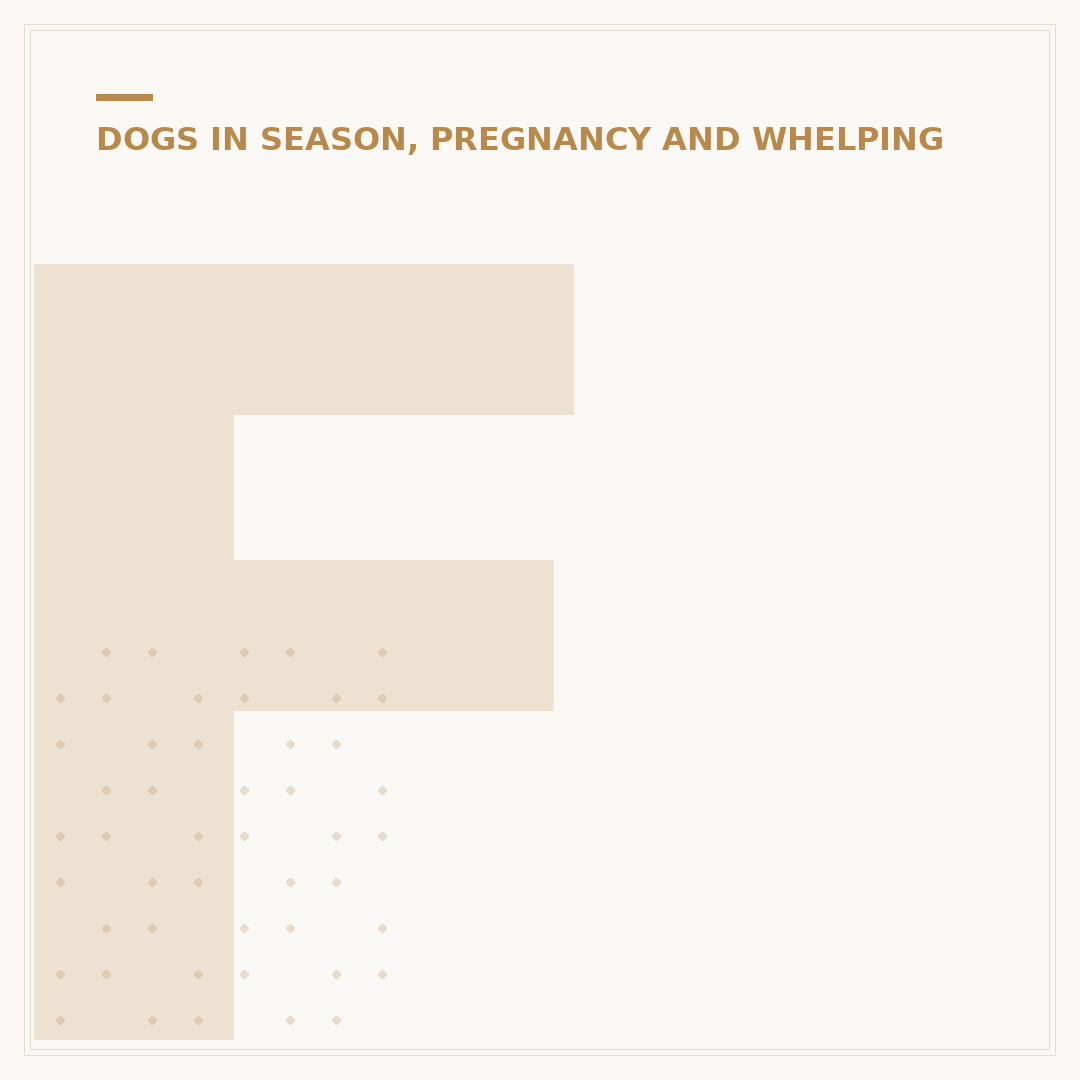 Food for a Pregnant Dog