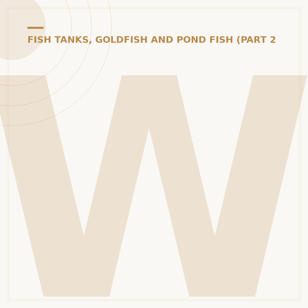 What Is a Pregnant Goldfish Called?