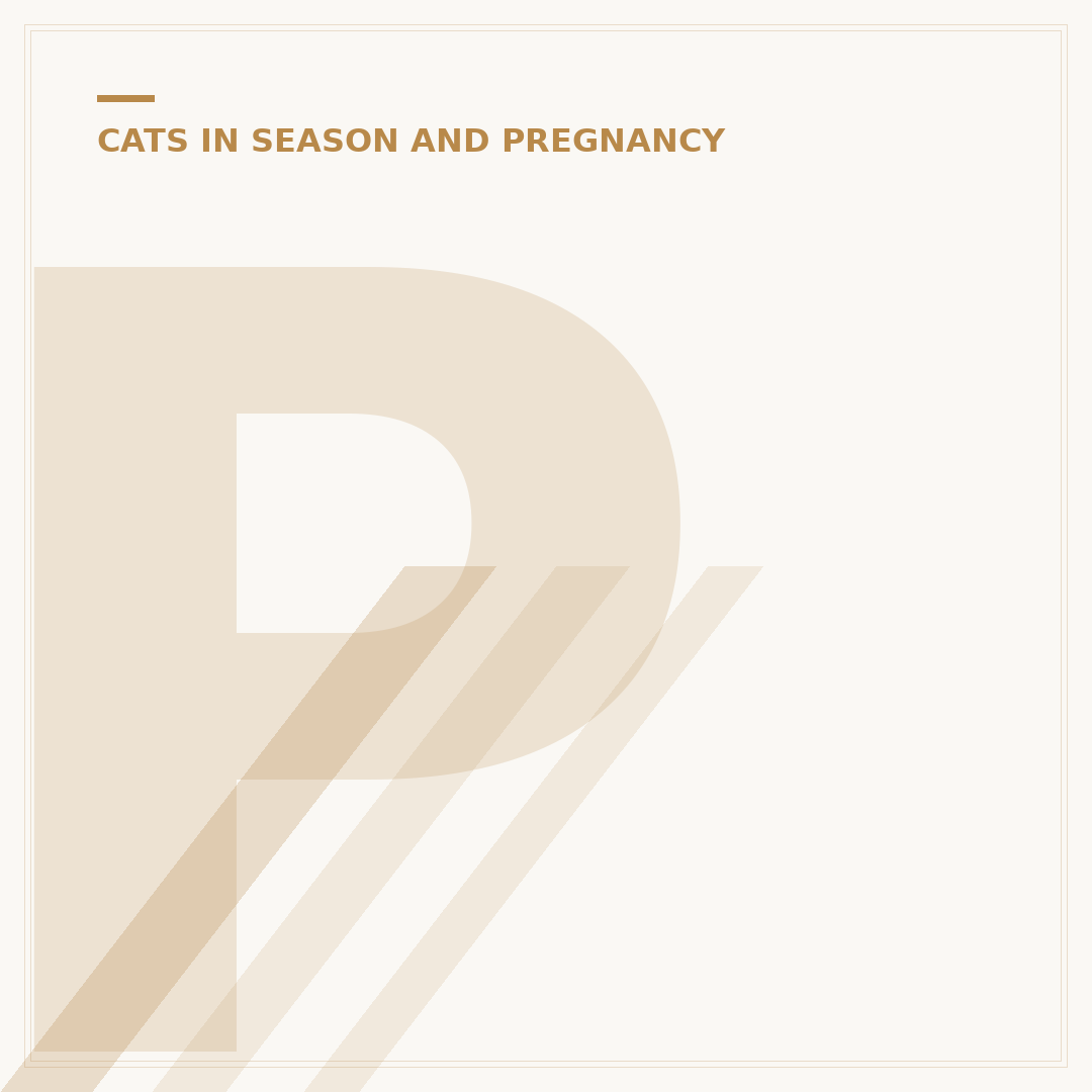 Pregnant Women & Cat Poop: Toxoplasmosis Risks Explained
