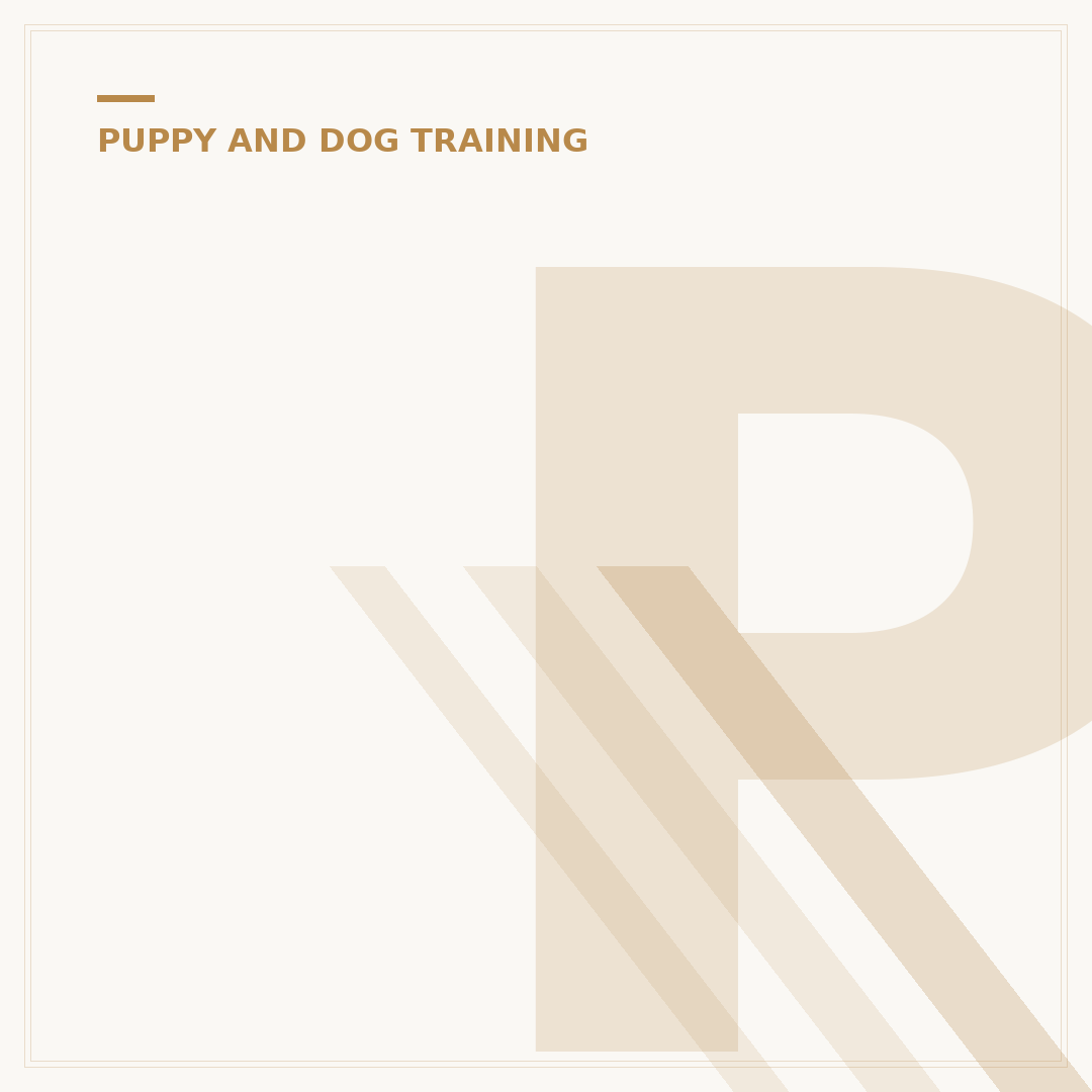 Puppy Recall Training: Get Your Dog Back Every Time