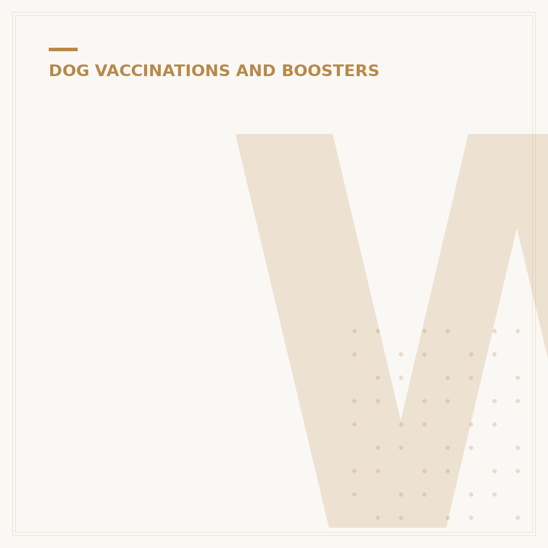 When Do Puppies Have Their Second Vaccination?