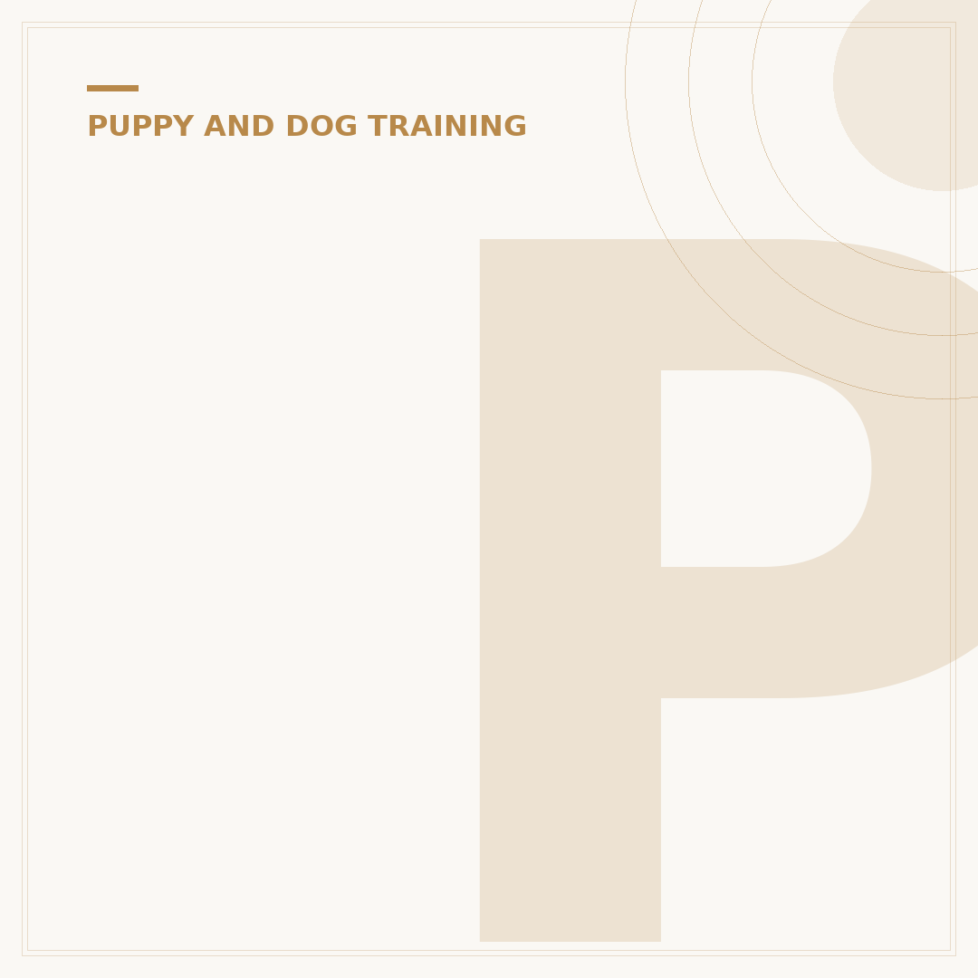 Puppy Toilet Training Spray: How To Use It
